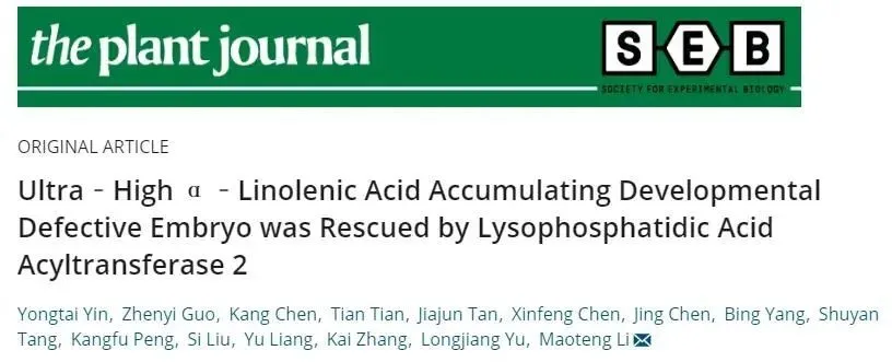 华中科技大学栗茂腾团队解析亚麻酸大量合成引起种子干瘪的机理