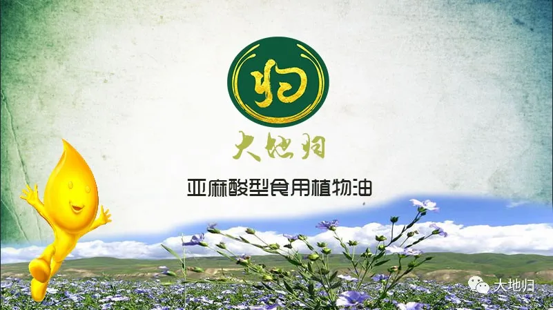 大地归--亚麻酸型食用植物油